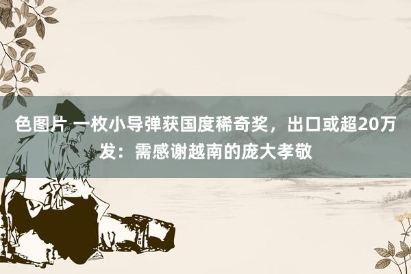 色图片 一枚小导弹获国度稀奇奖，出口或超20万发：需感谢越南的庞大孝敬