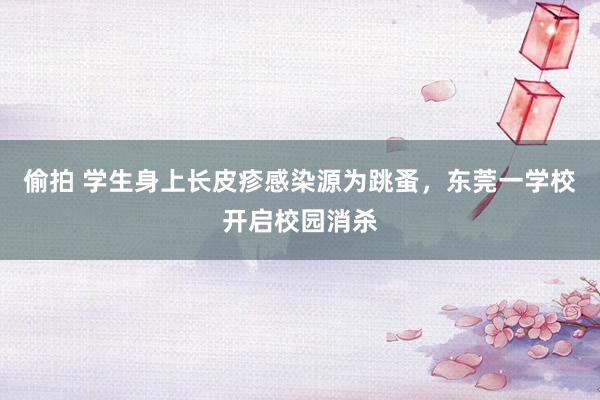 偷拍 学生身上长皮疹感染源为跳蚤，东莞一学校开启校园消杀