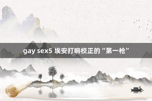 gay sex5 埃安打响校正的“第一枪”