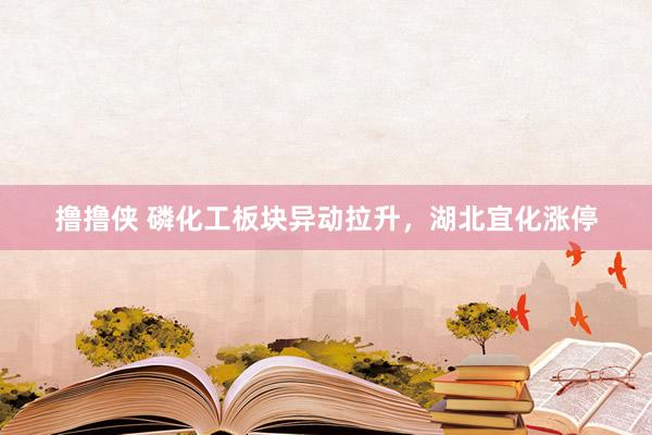 撸撸侠 磷化工板块异动拉升，湖北宜化涨停