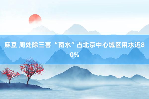 麻豆 周处除三害 “南水”占北京中心城区用水近80%