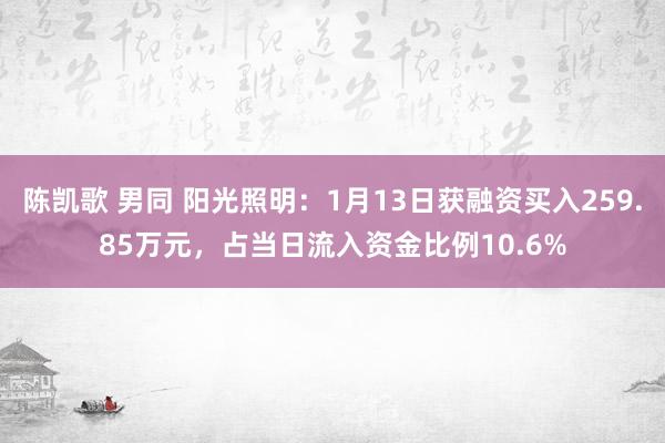 陈凯歌 男同 阳光照明：1月13日获融资买入259.85万元，占当日流入资金比例10.6%