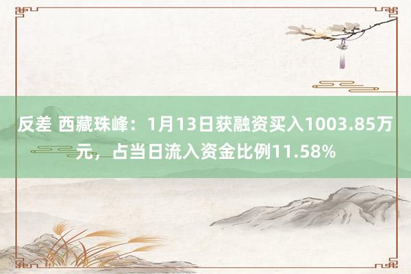 反差 西藏珠峰：1月13日获融资买入1003.85万元，占当日流入资金比例11.58%