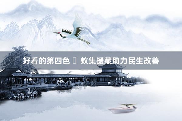 好看的第四色 ​蚁集援藏助力民生改善