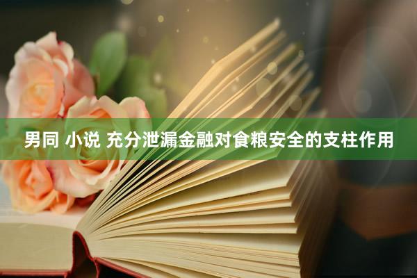 男同 小说 充分泄漏金融对食粮安全的支柱作用