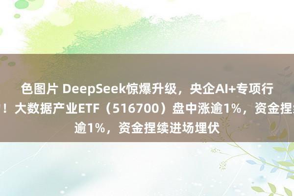 色图片 DeepSeek惊爆升级，央企AI+专项行为提速发力！大数据产业ETF（516700）盘中涨逾1%，资金捏续进场埋伏