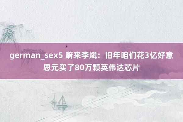 german_sex5 蔚来李斌：旧年咱们花3亿好意思元买了80万颗英伟达芯片