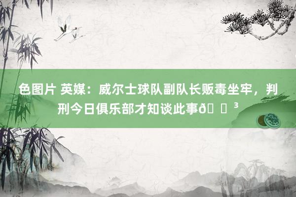 色图片 英媒：威尔士球队副队长贩毒坐牢，判刑今日俱乐部才知谈此事😳