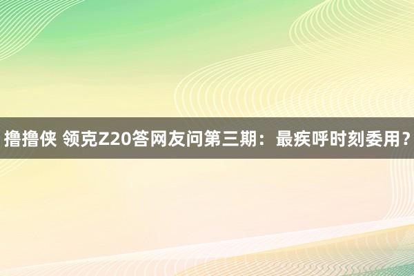撸撸侠 领克Z20答网友问第三期：最疾呼时刻委用？