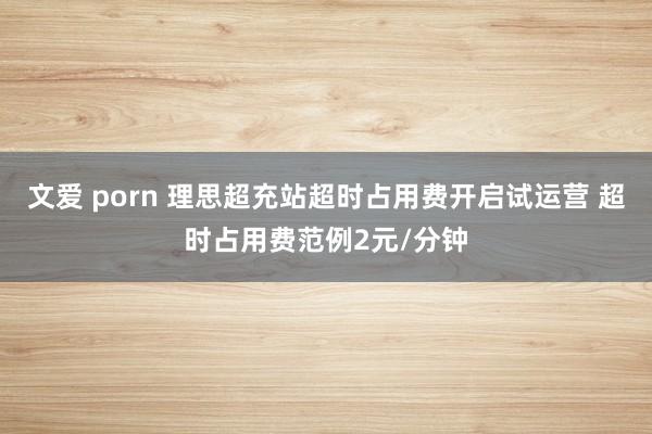 文爱 porn 理思超充站超时占用费开启试运营 超时占用费范例2元/分钟