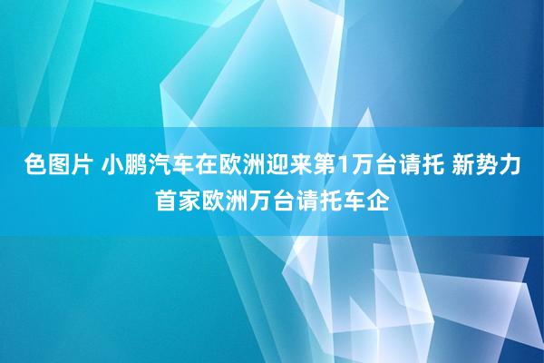 色图片 小鹏汽车在欧洲迎来第1万台请托 新势力首家欧洲万台请托车企
