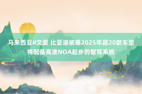 马来西亚#文爱 比亚迪被曝2025年超20款车型将配备高速NOA起步的智驾系统