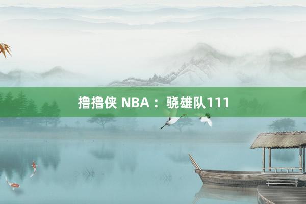 撸撸侠 NBA ：骁雄队111
