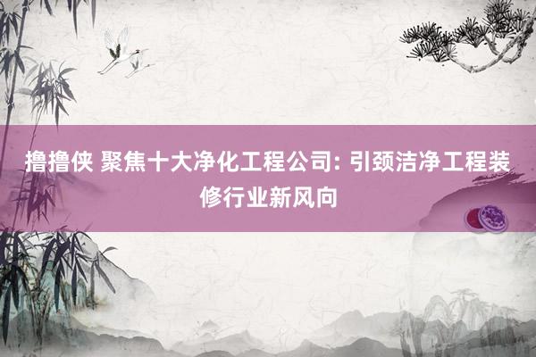 撸撸侠 聚焦十大净化工程公司: 引颈洁净工程装修行业新风向