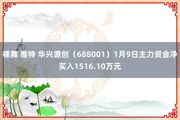 裸舞 推特 华兴源创（688001）1月9日主力资金净买入1516.10万元