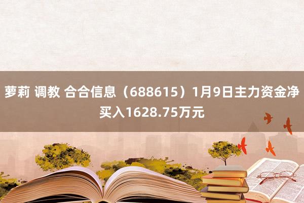 萝莉 调教 合合信息（688615）1月9日主力资金净买入1628.75万元
