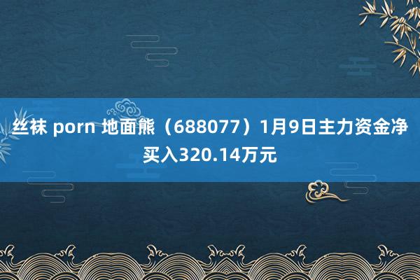 丝袜 porn 地面熊（688077）1月9日主力资金净买入320.14万元