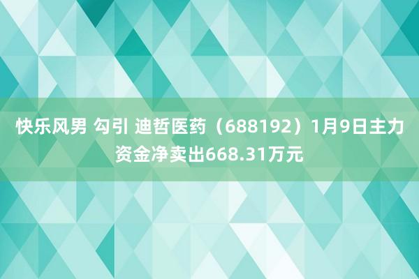 快乐风男 勾引 迪哲医药（688192）1月9日主力资金净卖出668.31万元