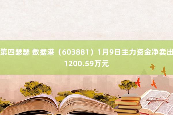 第四瑟瑟 数据港（603881）1月9日主力资金净卖出1200.59万元