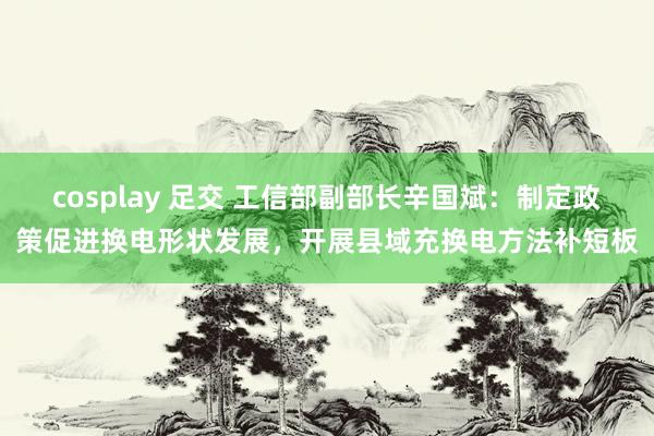 cosplay 足交 工信部副部长辛国斌：制定政策促进换电形状发展，开展县域充换电方法补短板