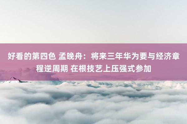 好看的第四色 孟晚舟：将来三年华为要与经济章程逆周期 在根技艺上压强式参加