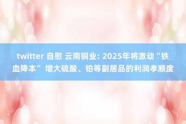 twitter 自慰 云南铜业: 2025年将激动“铁血降本” 增大硫酸、铂等副居品的利润孝顺度