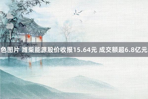 色图片 潍柴能源股价收报15.64元 成交额超6.8亿元