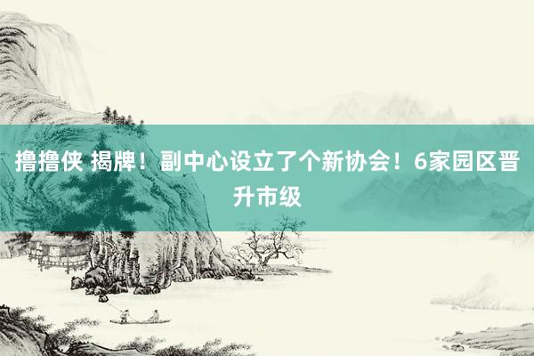 撸撸侠 揭牌！副中心设立了个新协会！6家园区晋升市级