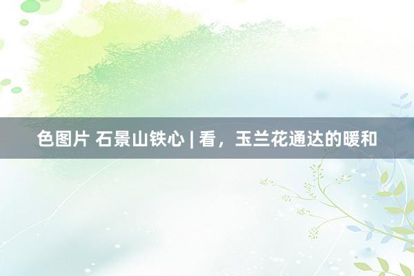 色图片 石景山铁心 | 看，玉兰花通达的暖和