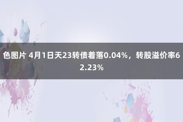 色图片 4月1日天23转债着落0.04%，转股溢价率62.23%