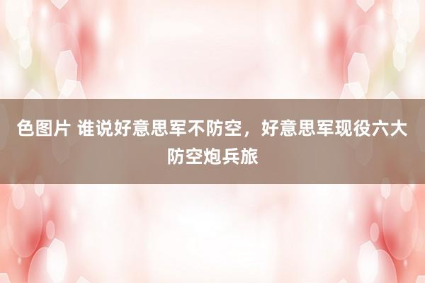 色图片 谁说好意思军不防空，好意思军现役六大防空炮兵旅