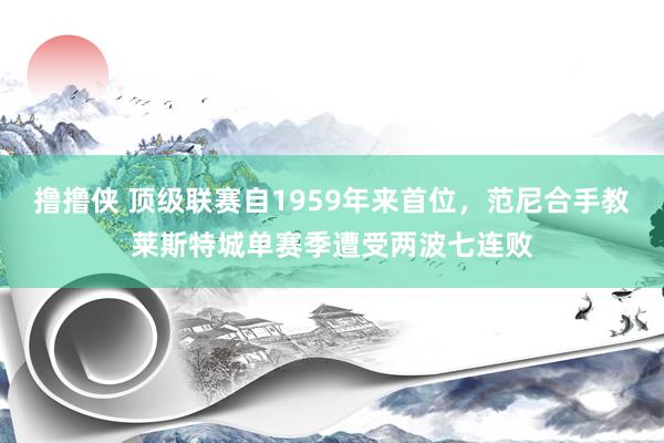 撸撸侠 顶级联赛自1959年来首位，范尼合手教莱斯特城单赛季遭受两波七连败