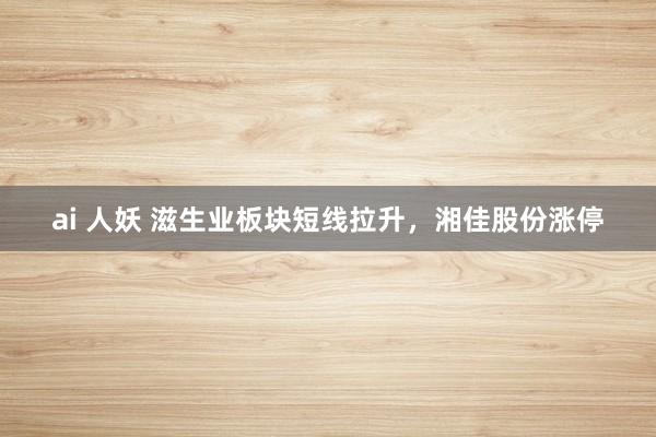 ai 人妖 滋生业板块短线拉升，湘佳股份涨停