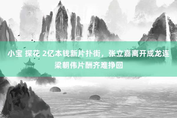 小宝 探花 2亿本钱新片扑街，张立嘉离开成龙连梁朝伟片酬齐难挣回