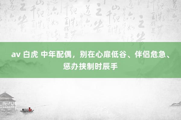 av 白虎 中年配偶，别在心扉低谷、伴侣危急、惩办挟制时辰手
