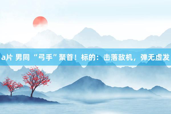 a片 男同 “弓手”聚首！标的：击落敌机，弹无虚发