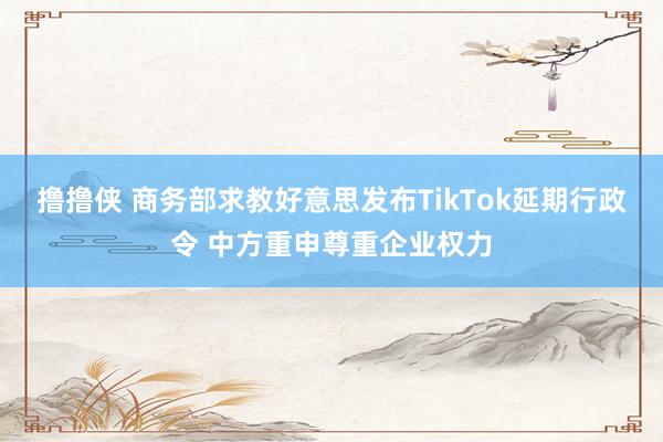 撸撸侠 商务部求教好意思发布TikTok延期行政令 中方重申尊重企业权力