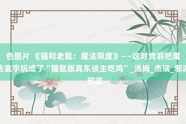 色图片 《猫和老鼠：魔法限度》——这对党羽把魔法寰宇玩成了“猫鼠版真东谈主吃鸡”_汤姆_杰瑞_邪派