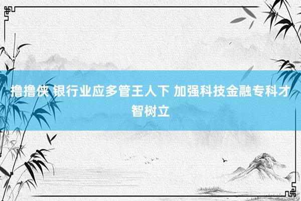 撸撸侠 银行业应多管王人下 加强科技金融专科才智树立