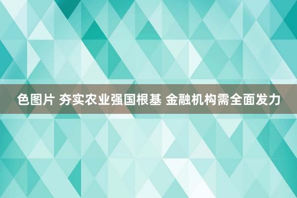 色图片 夯实农业强国根基 金融机构需全面发力