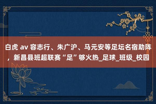 白虎 av 容志行、朱广沪、马元安等足坛名宿助阵，新昌县班超联赛“足”够火热_足球_班级_校园