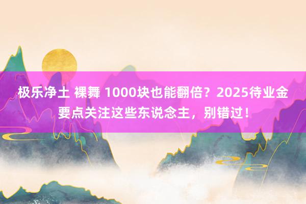 极乐净土 裸舞 1000块也能翻倍？2025待业金要点关注这些东说念主，别错过！