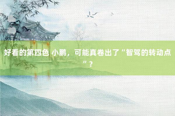 好看的第四色 小鹏，可能真卷出了“智驾的转动点”？