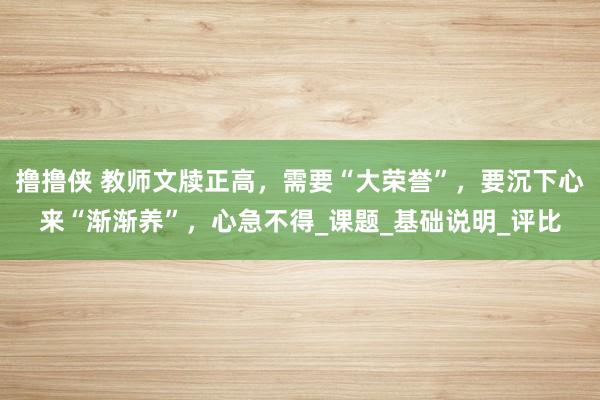 撸撸侠 教师文牍正高，需要“大荣誉”，要沉下心来“渐渐养”，心急不得_课题_基础说明_评比