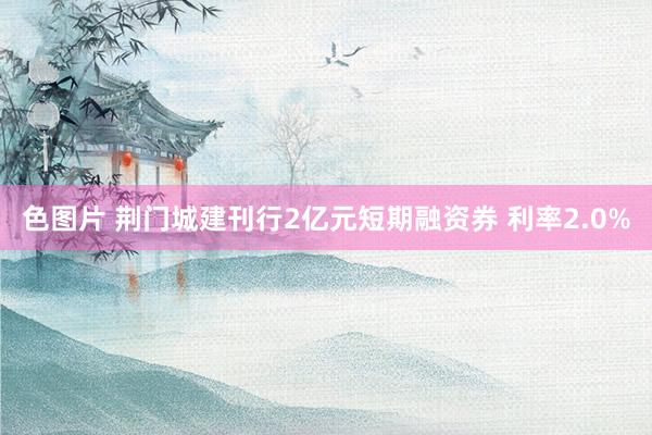 色图片 荆门城建刊行2亿元短期融资券 利率2.0%