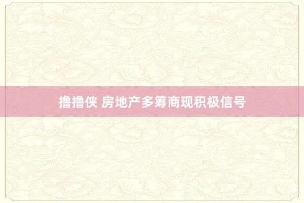 撸撸侠 房地产多筹商现积极信号