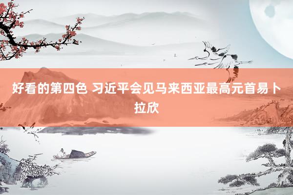 好看的第四色 习近平会见马来西亚最高元首易卜拉欣