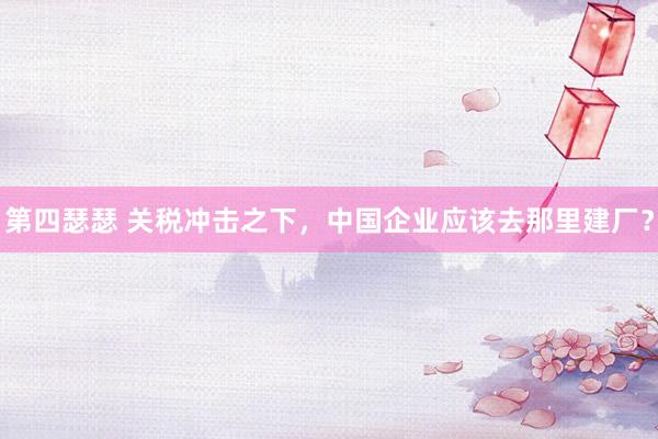 第四瑟瑟 关税冲击之下，中国企业应该去那里建厂？