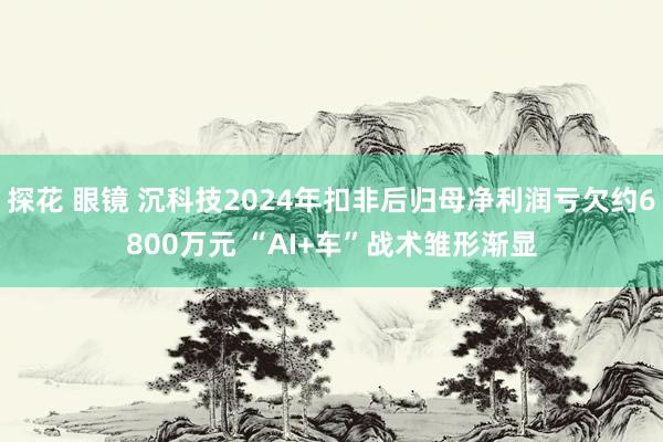 探花 眼镜 沉科技2024年扣非后归母净利润亏欠约6800万元 “AI+车”战术雏形渐显