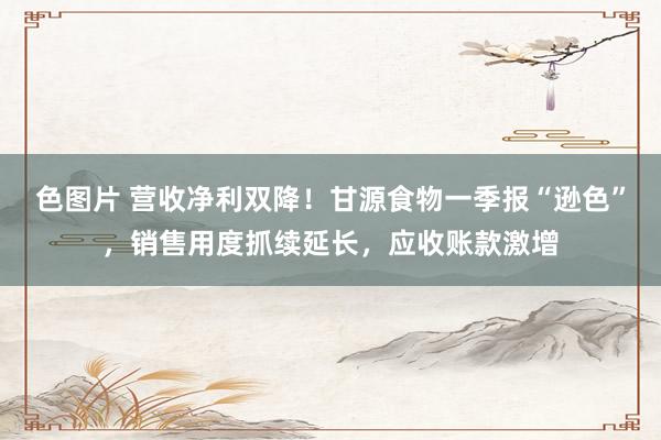 色图片 营收净利双降！甘源食物一季报“逊色”，销售用度抓续延长，应收账款激增